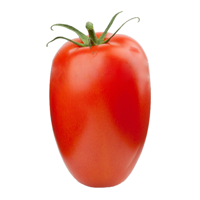 pomodoro infografica