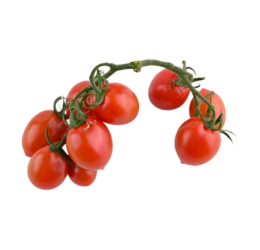 Red Cherry Tomato
