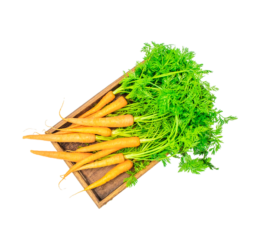 Vegan Red Carrot