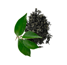Healthy Green Tea