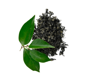 Healthy Green Tea