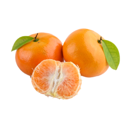 Tangerine Orange